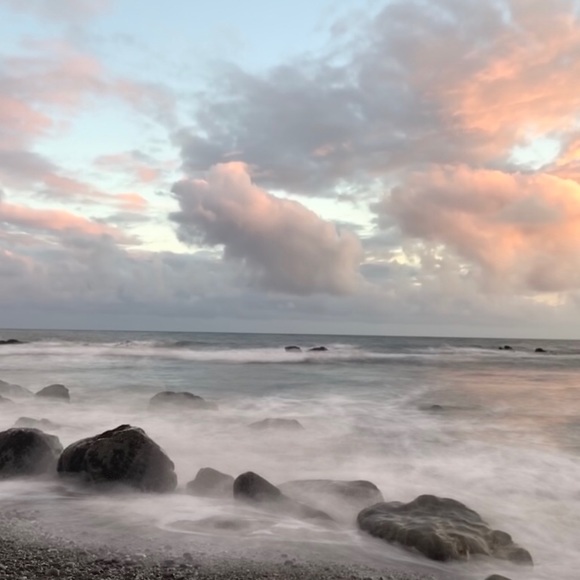 Meet your Posher, Michelle - Picture 2 of 2